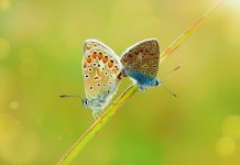 W-maturalni-2025-04 - maturalni_kurs maturalny biologia_25_1.jpg