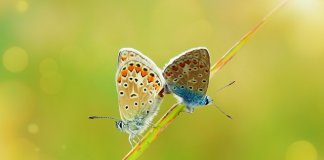 W-maturalni-2025-04 - maturalni_kurs maturalny biologia_25_1.jpg