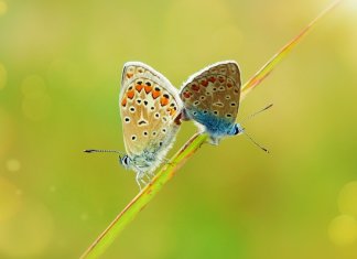 W-maturalni-2025-04 - maturalni_kurs maturalny biologia_25_1.jpg