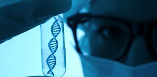 Jak odczytywać wyniki AMH i co mówią o Twoim zdrowiu reprodukcyjnym? gyncentrum - gync badania genetyczne 1435.jpg